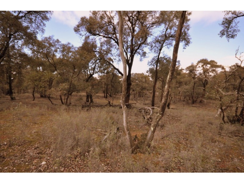 CA 109 Sunraysia Highway, Avoca VIC 3467