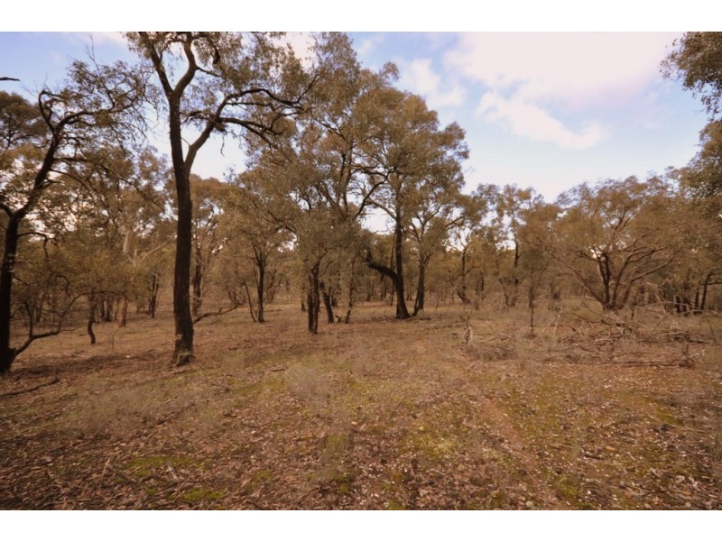 CA 109 Sunraysia Highway, Avoca VIC 3467