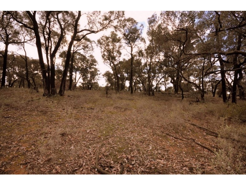 CA 109 Sunraysia Highway, Avoca VIC 3467