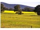 CA 109 Sunraysia Highway, Avoca VIC 3467