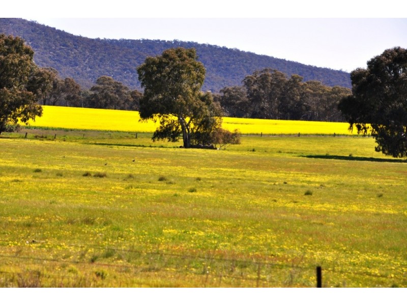 CA 109 Sunraysia Highway, Avoca VIC 3467
