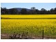 CA 109 Sunraysia Highway, Avoca VIC 3467