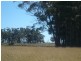 - Lismore Skipton Road, Lismore VIC 3324