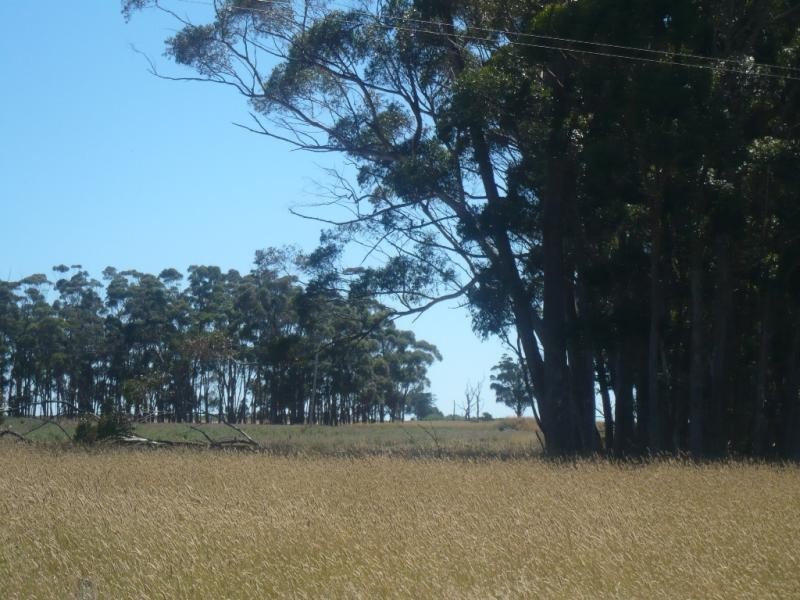 - Lismore Skipton Road, Lismore VIC 3324