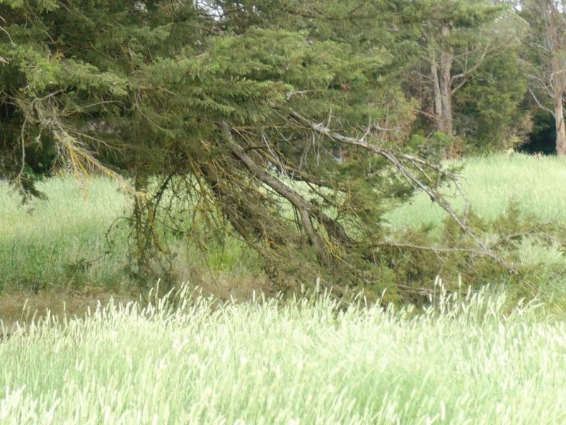 Lot S2 Cummins Road, Miners Rest VIC 3352