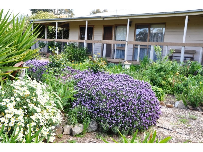 53 Hudswell Road, Landsborough VIC 3384