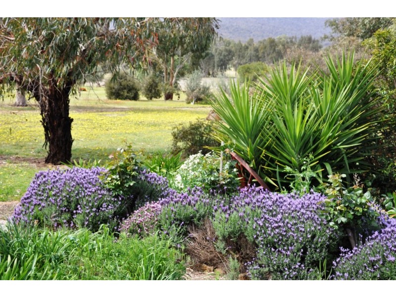 53 Hudswell Road, Landsborough VIC 3384