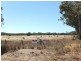 Lot 64D Frenchmans-St Arnaud Road, Barkly VIC 3384