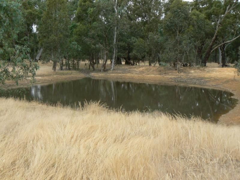 Lot 83 Cudmore Road, Moonambel VIC 3478