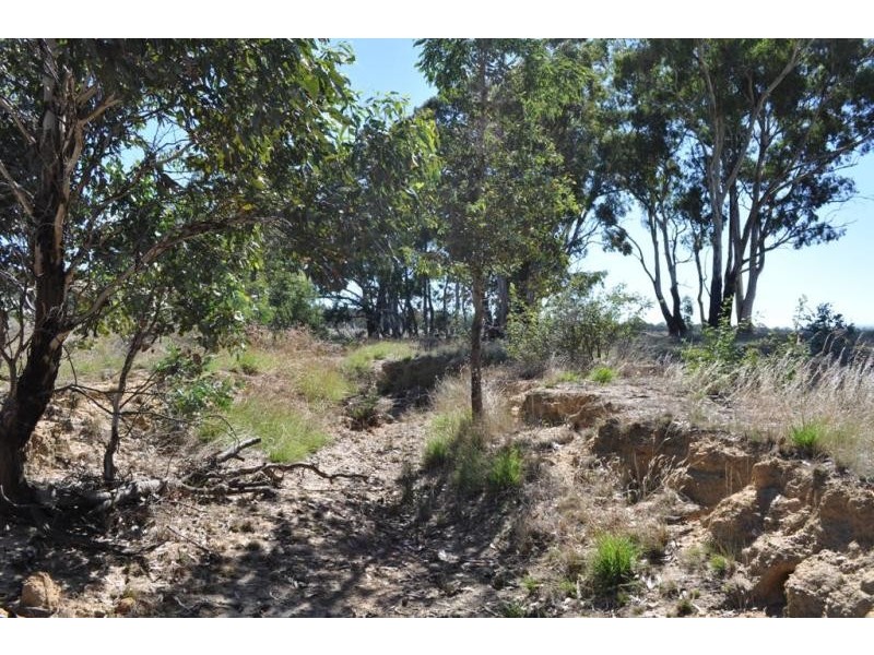 115 Frenchmans-St Arnaud Road, Barkly VIC 3381