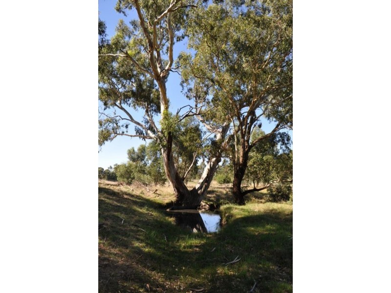 115 Frenchmans-St Arnaud Road, Barkly VIC 3381