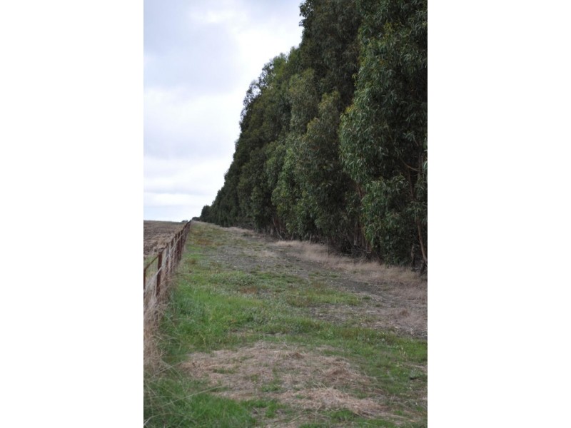 1306 Beaufort – Carngham Road, Mena Park VIC 3373