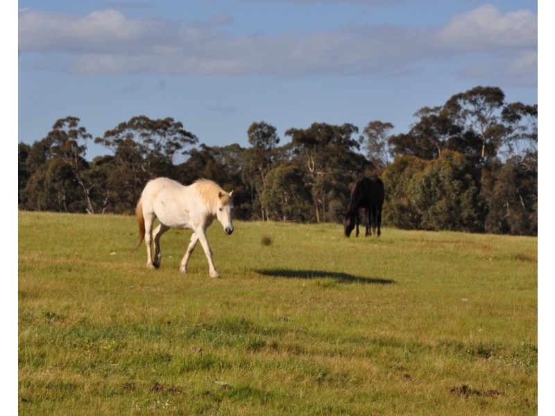 7064 Pyrenees Highway, Avoca VIC 3467