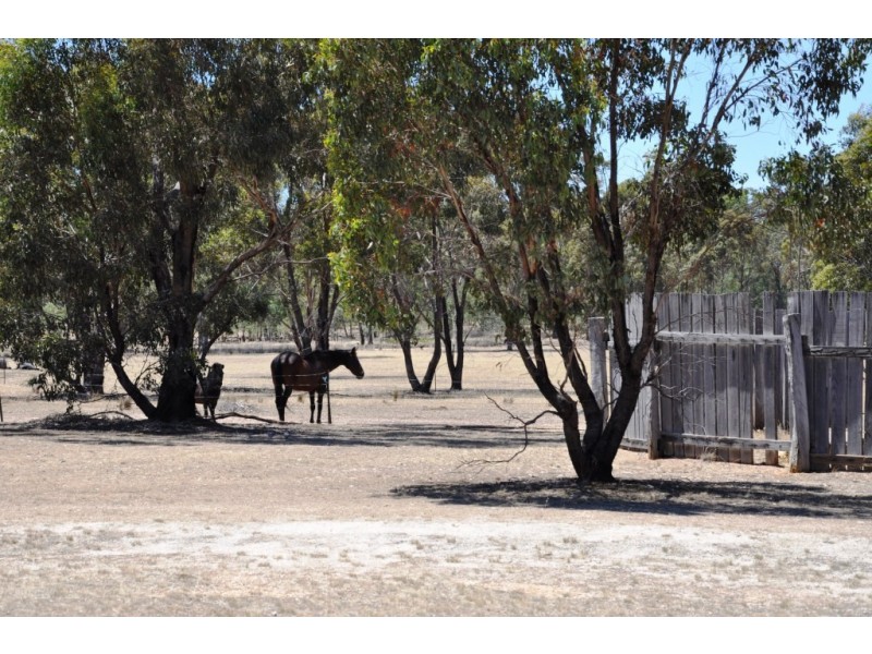 7064 Pyrenees Highway, Avoca VIC 3467