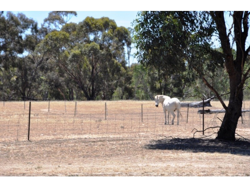 7064 Pyrenees Highway, Avoca VIC 3467