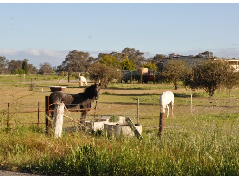 12 Boyce Street, Avoca VIC 3467