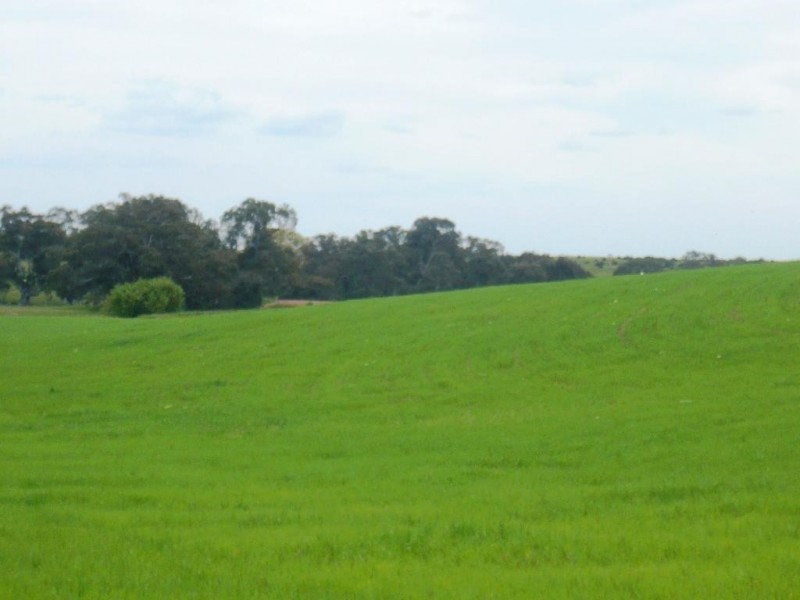 835 McCallums Creek Road, Majorca VIC 3465