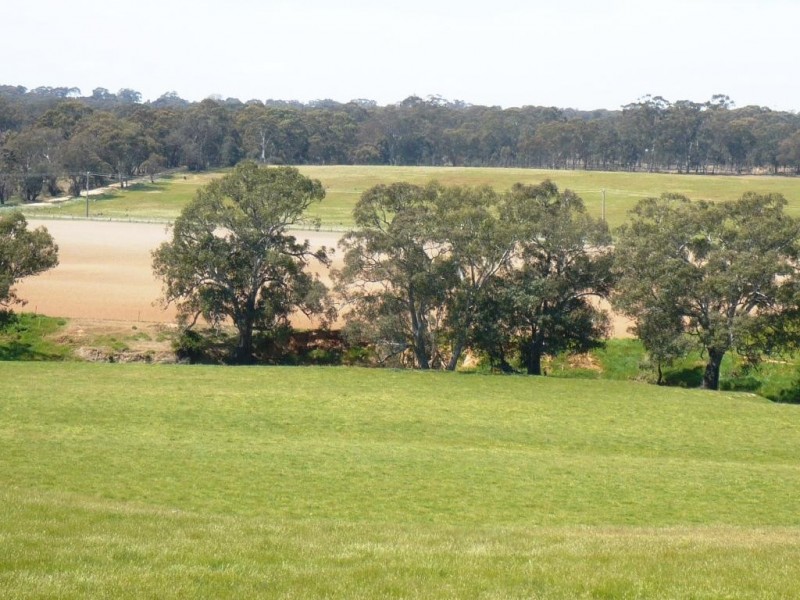 835 McCallums Creek Road, Majorca VIC 3465