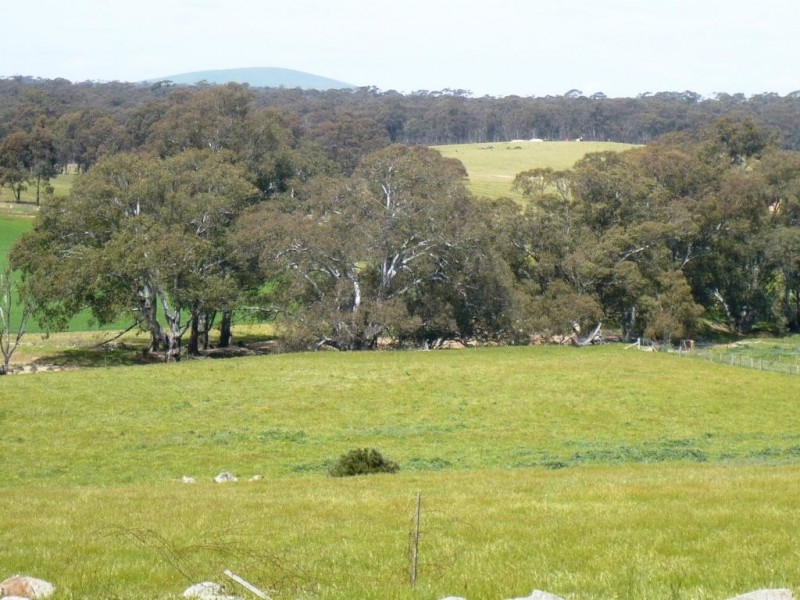 835 McCallums Creek Road, Majorca VIC 3465