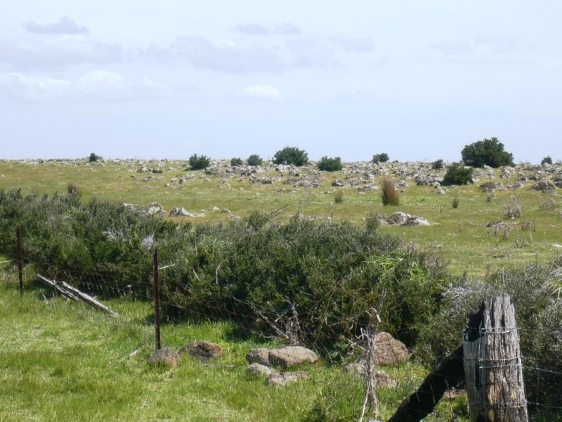 835 McCallums Creek Road, Majorca VIC 3465