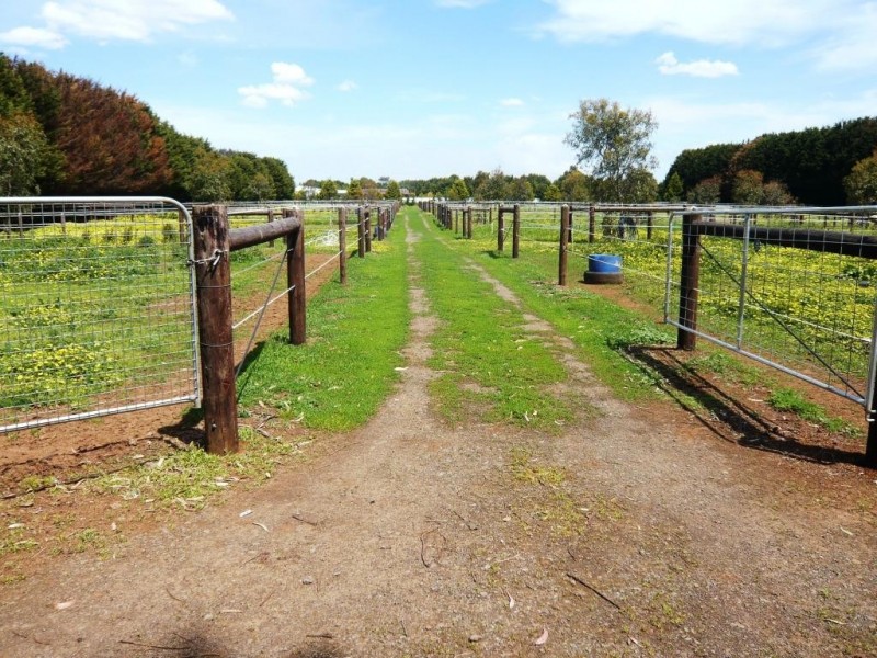 299 Kennedys Road, Miners Rest VIC 3352
