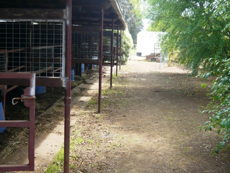 299 Kennedys Road, Miners Rest VIC 3352