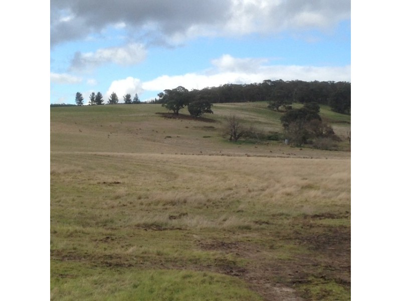 0 Wilkinsons Road, Raglan VIC 3373