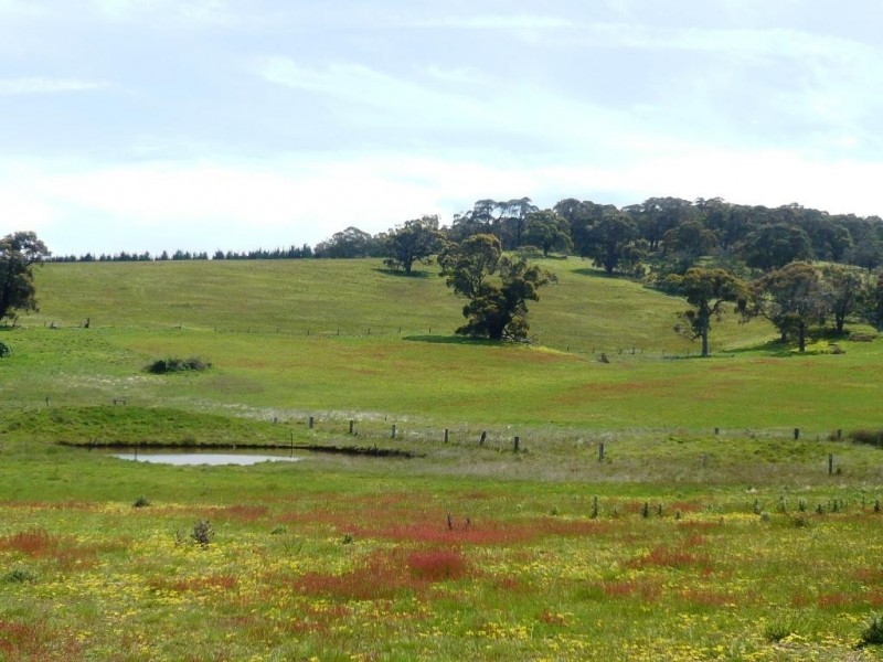 0 Wilkinsons Road, Raglan VIC 3373