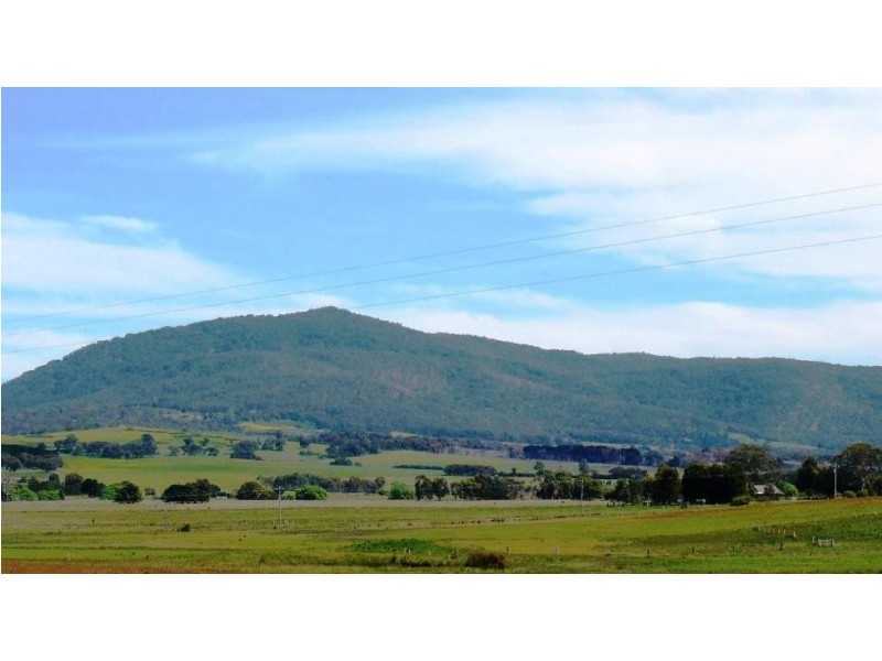 0 Wilkinsons Road, Raglan VIC 3373