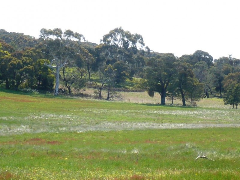 0 Wilkinsons Road, Raglan VIC 3373