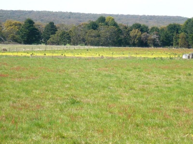 0 Wilkinsons Road, Raglan VIC 3373