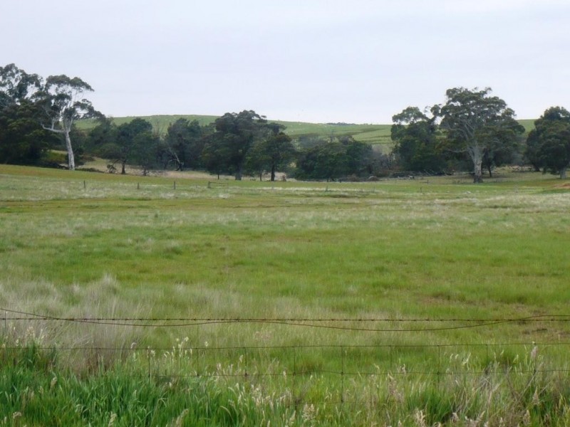 0 Wilkinsons Road, Raglan VIC 3373