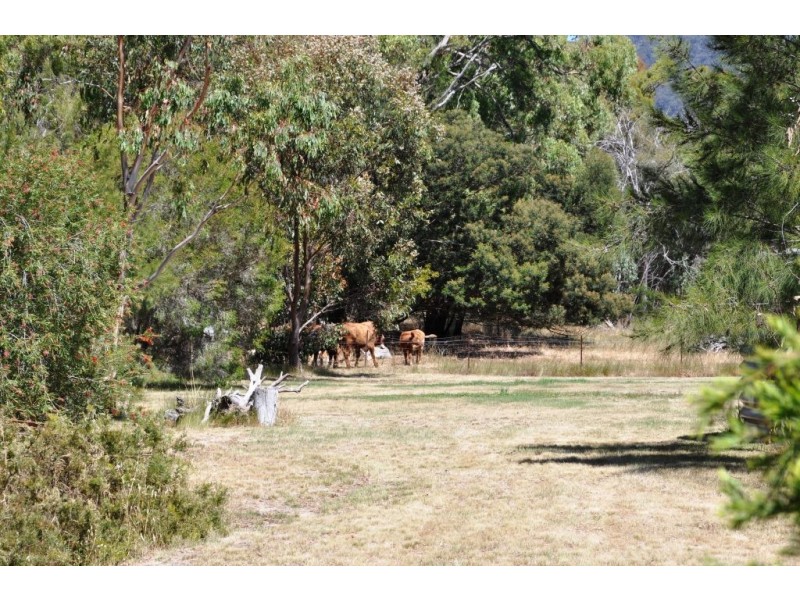 1139 Amphitheatre Rd, Amphitheatre VIC 3468