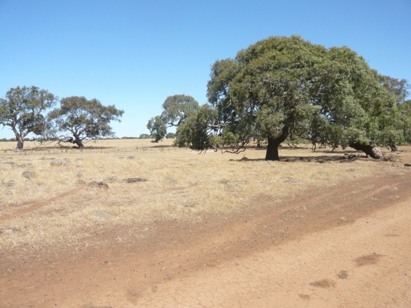 819 Settlement Road, Stoneleigh VIC 3373