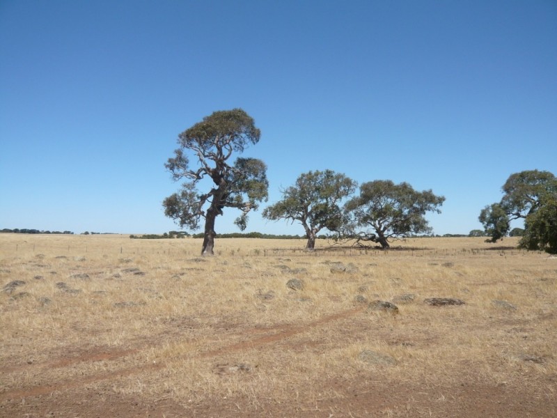 819 Settlement Road, Stoneleigh VIC 3373