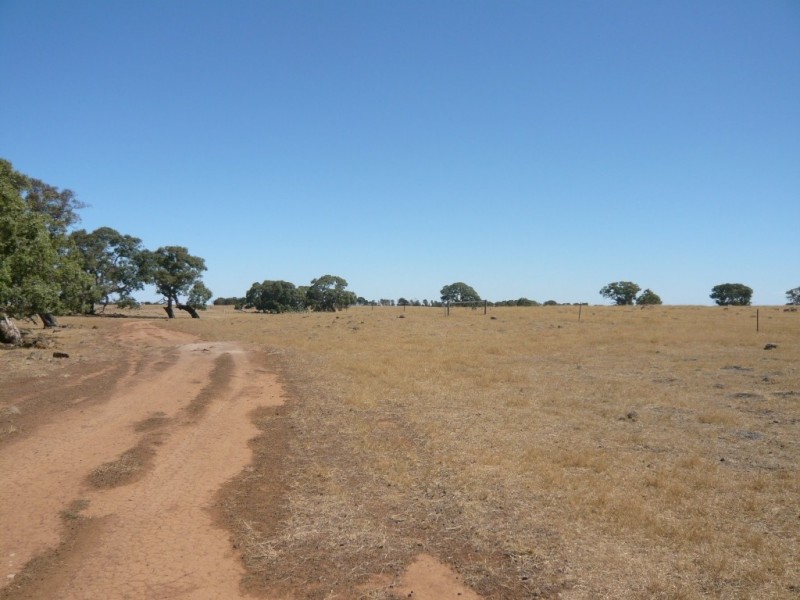 819 Settlement Road, Stoneleigh VIC 3373