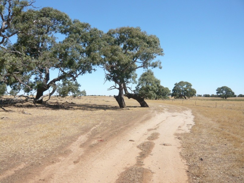 819 Settlement Road, Stoneleigh VIC 3373
