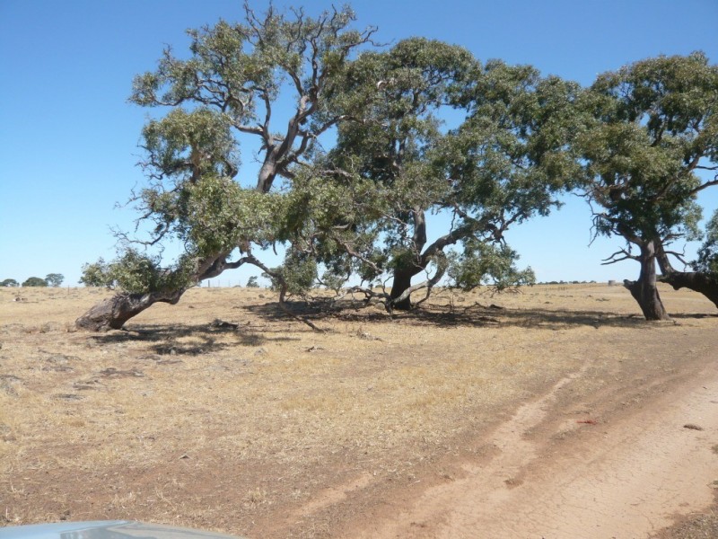 819 Settlement Road, Stoneleigh VIC 3373