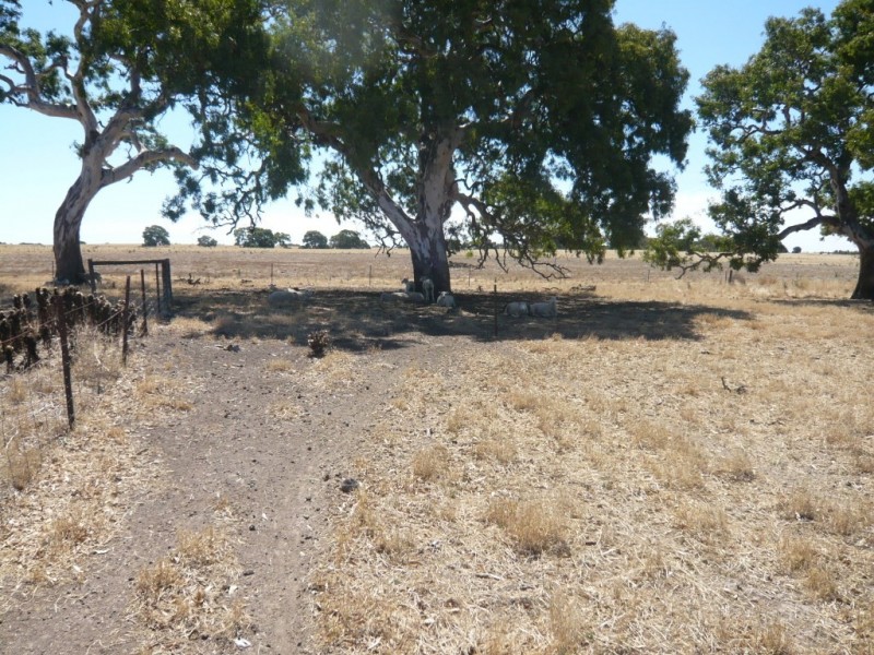 819 Settlement Road, Stoneleigh VIC 3373