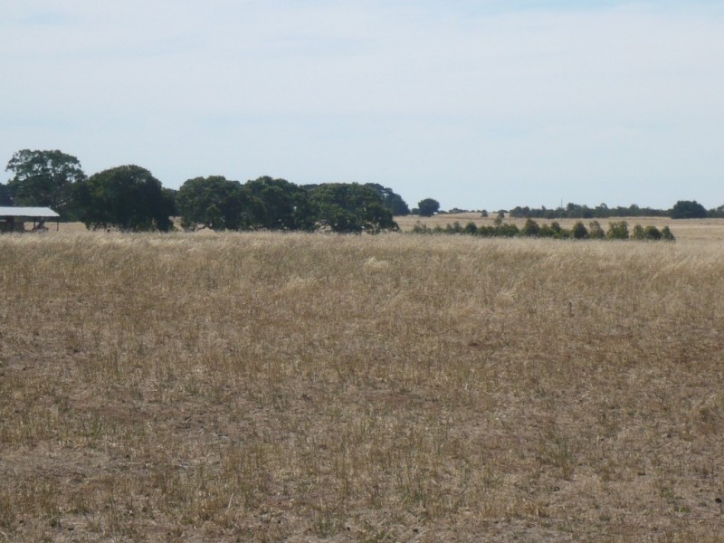 819 Settlement Road, Stoneleigh VIC 3373