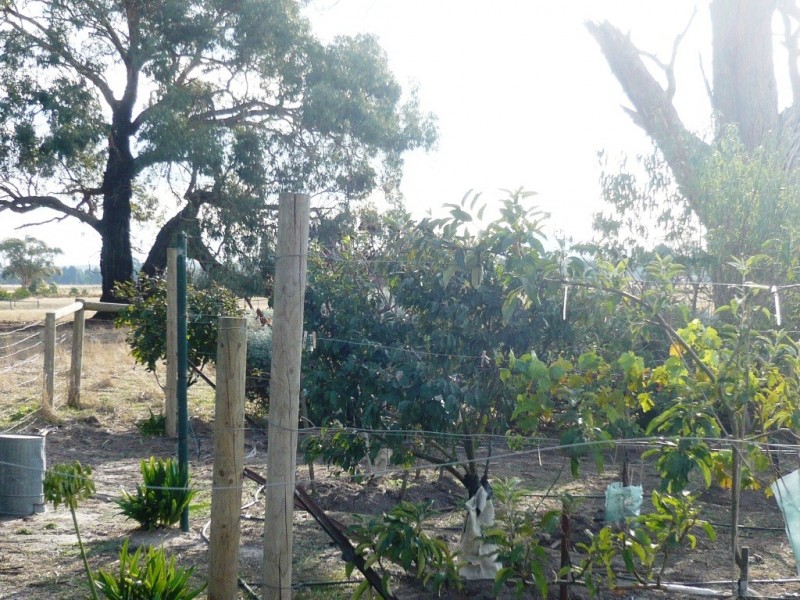 48 Rotten Lane, Lal Lal VIC 3352