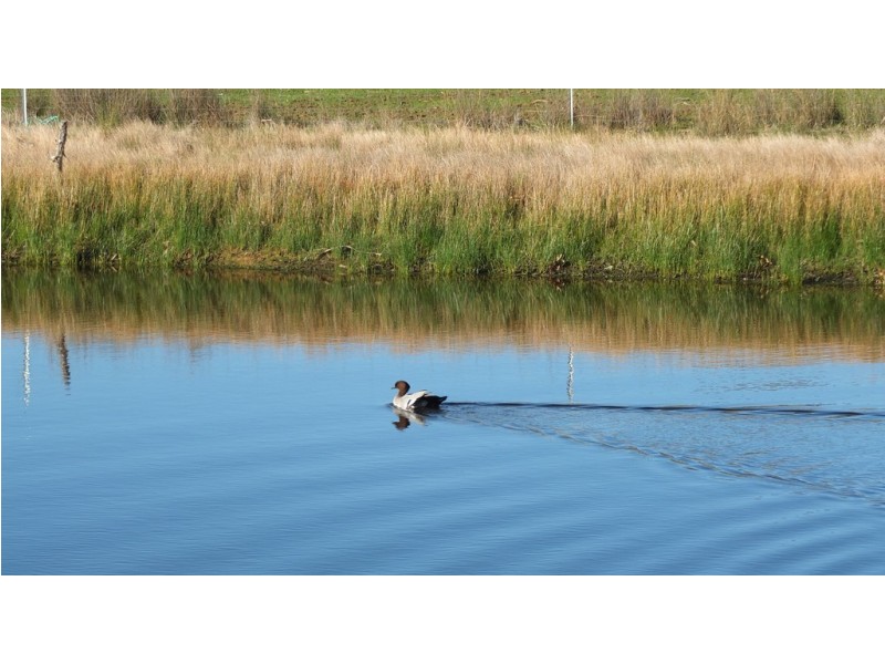 91 Marland Road, Barkly VIC 3384