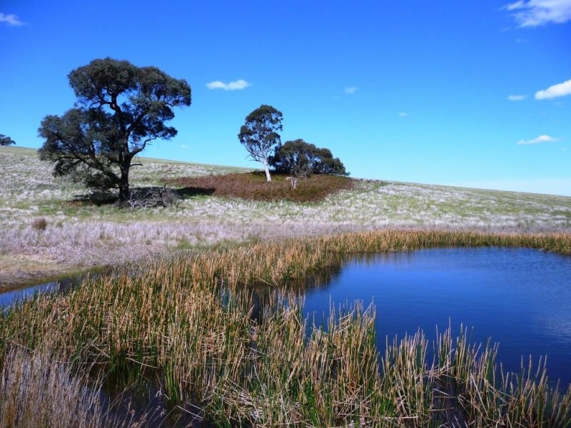 0 Red Hill/ Wilkinsons Road, Raglan VIC 3373