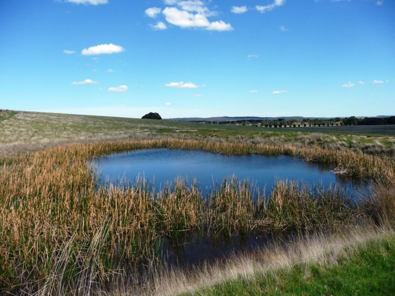 0 Red Hill/ Wilkinsons Road, Raglan VIC 3373