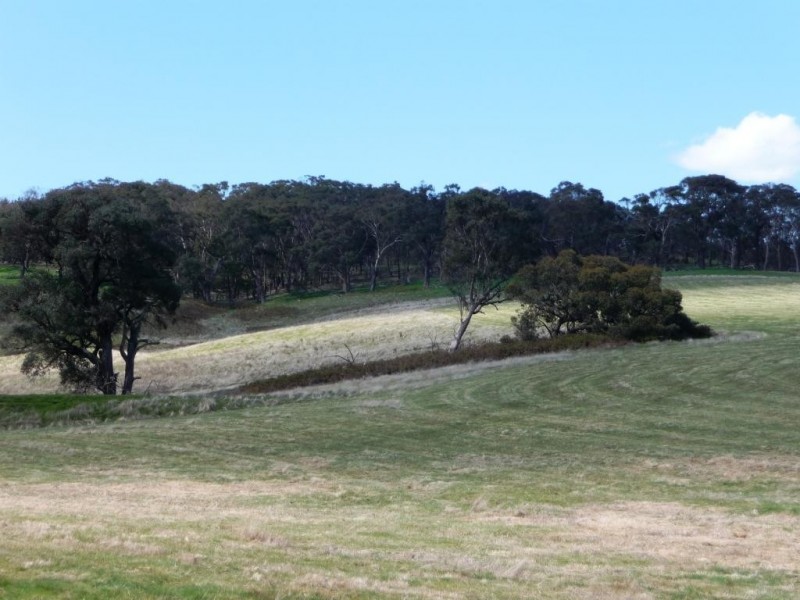 0 Red Hill/ Wilkinsons Road, Raglan VIC 3373