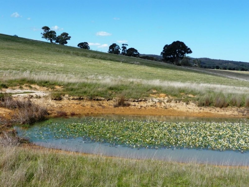 0 Red Hill/ Wilkinsons Road, Raglan VIC 3373