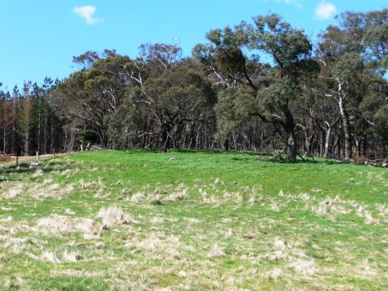 0 Red Hill/ Wilkinsons Road, Raglan VIC 3373