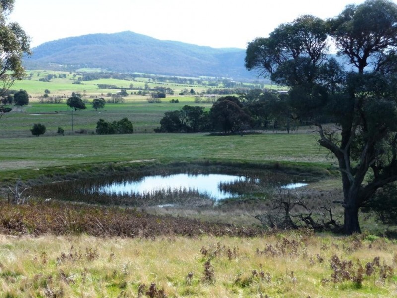 0 Red Hill/ Wilkinsons Road, Raglan VIC 3373