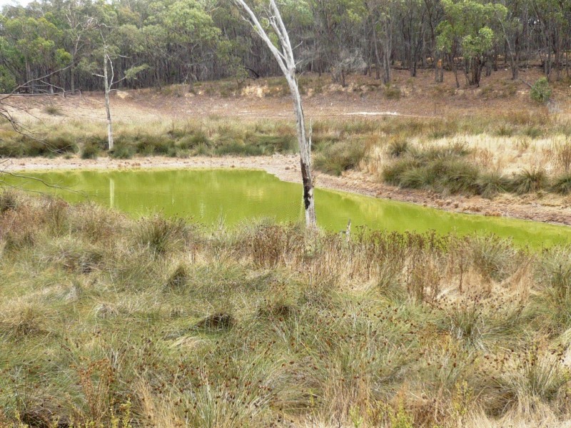 Lot 1 Government Road, Beaufort VIC 3373