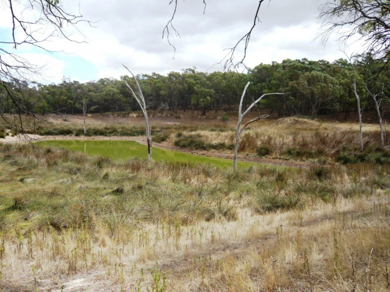 Lot 1 Government Road, Beaufort VIC 3373